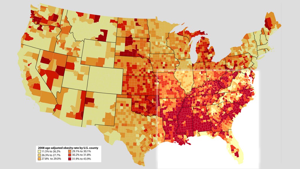 Age-adjusted estimates of the percentage of adults who are obese, 2008 data, Centers for Disease Control.  